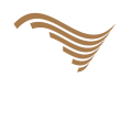 velocity-vertical-white